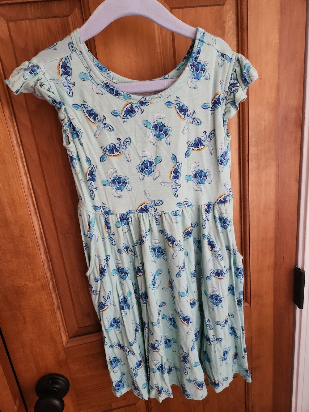 Turtle Bamboo Twirl Dress